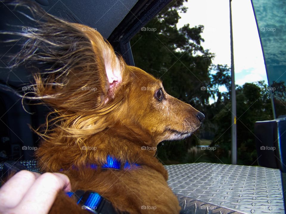 Wind in my hair