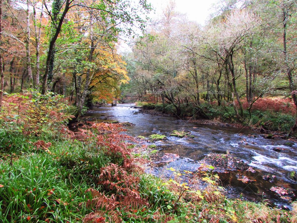 Autumn colour