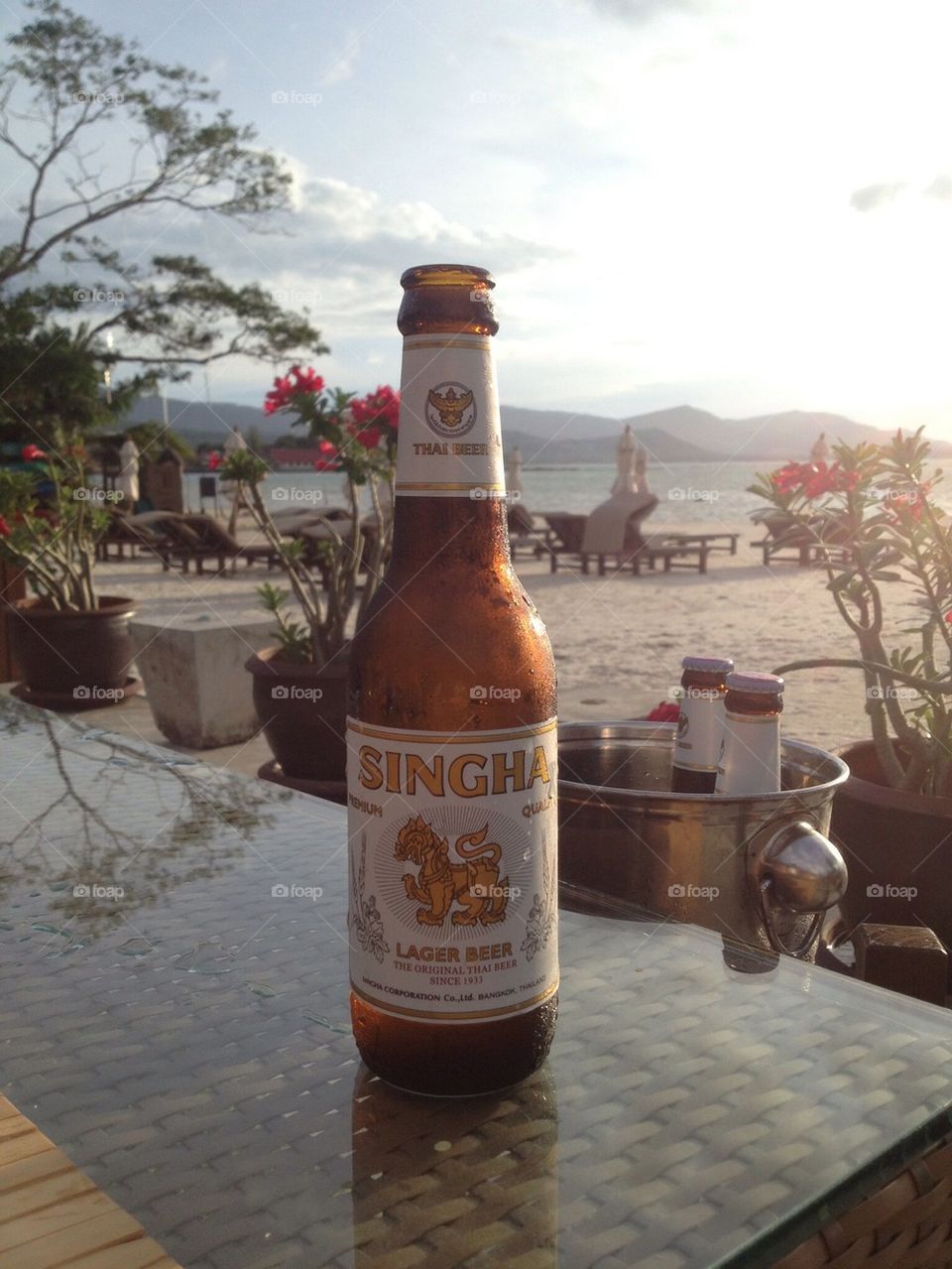 summer beach singha beer by aja064