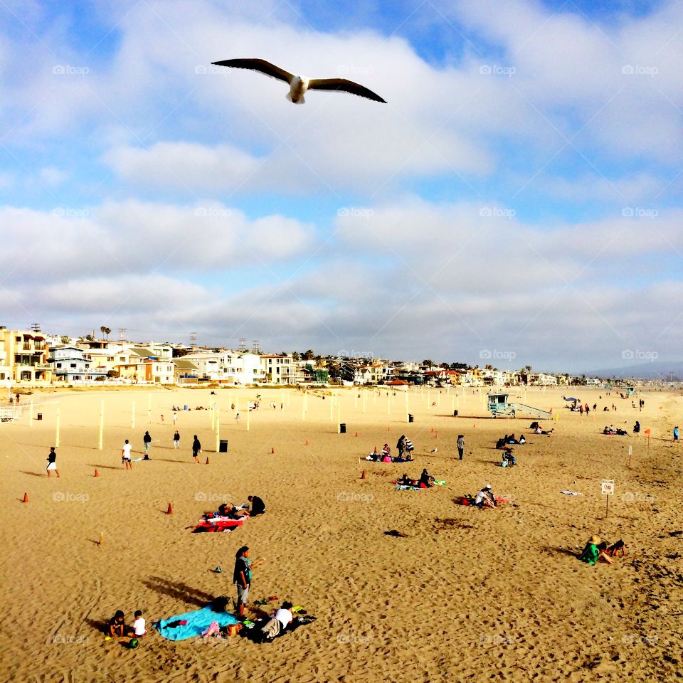 Beach Life. Beach Life