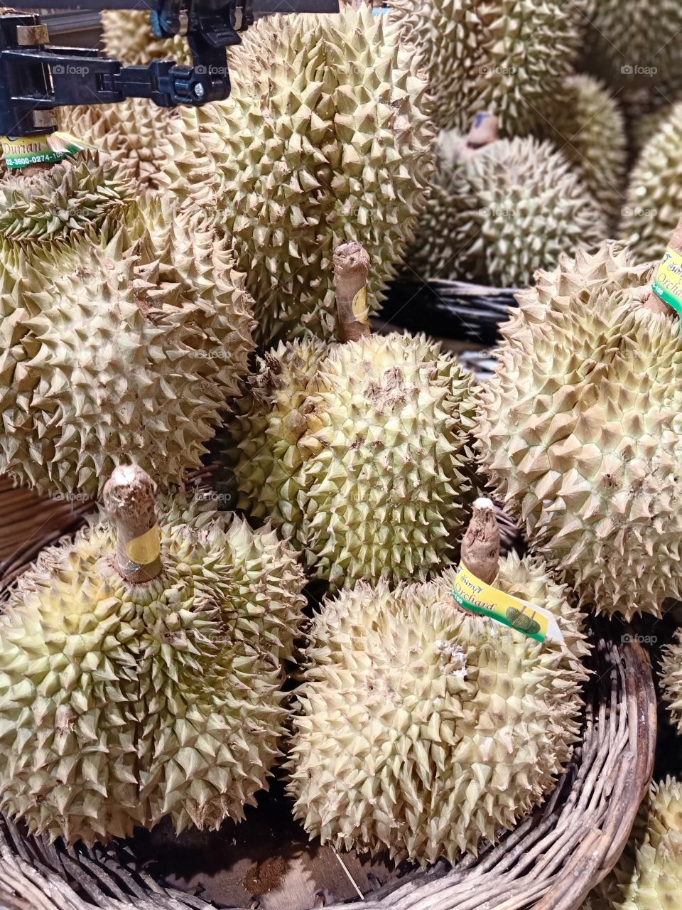 Durians