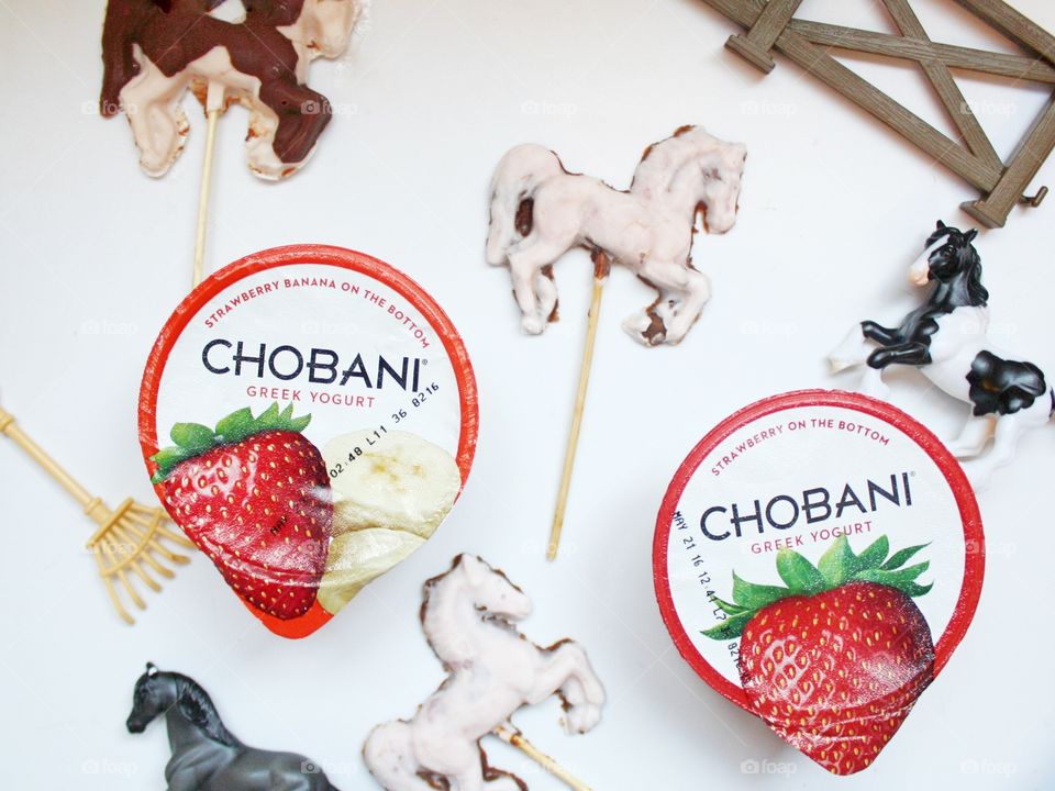 It's not hard to get my children to eat yogurt, but it's still much more fun when it's frozen into a shape of their favorite animal! Adding some chocolate and putting it on a stick makes it even better!!