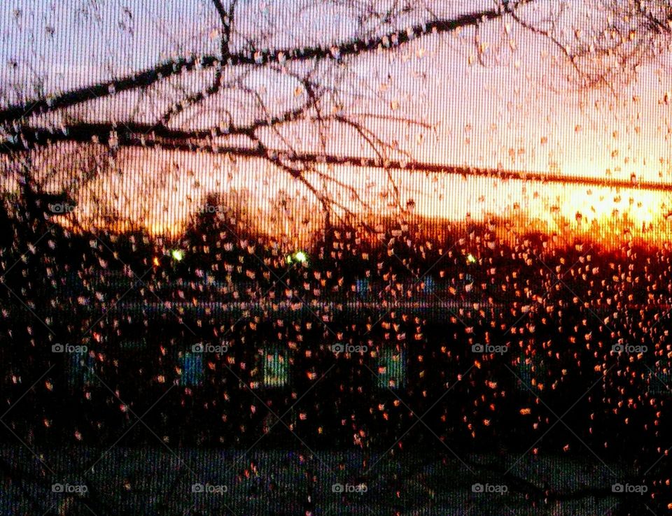 sunset in the rain: camera art