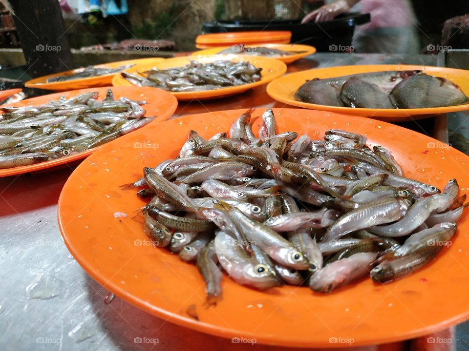 Iwak Saluang fish market