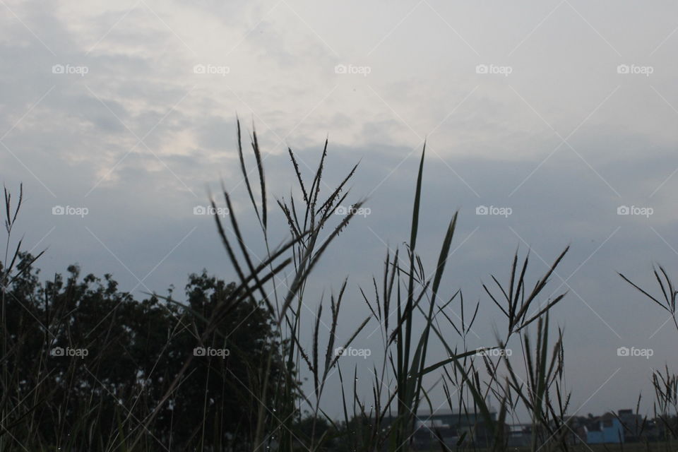 beautiful sky in the afternoon