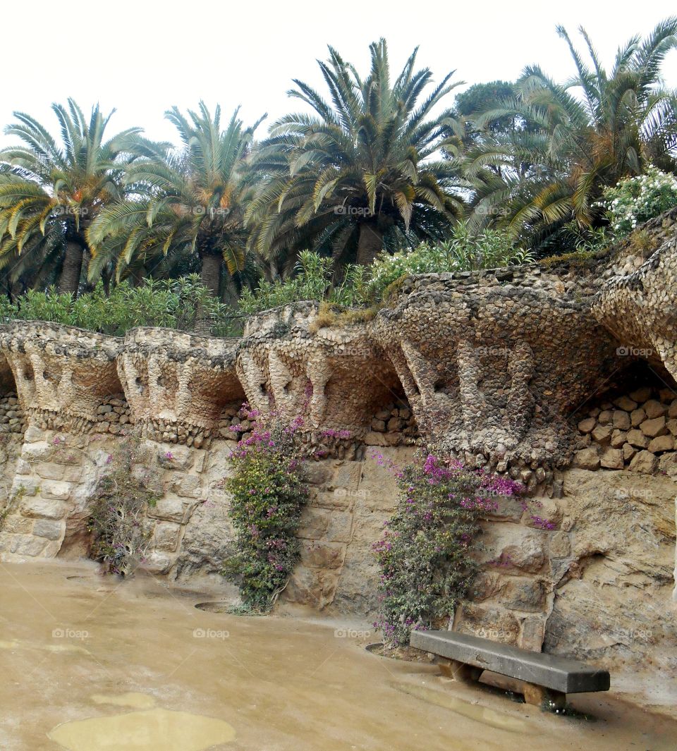 Les arches en forme de palmiers au Park Guëll à Barcelone en Espagne