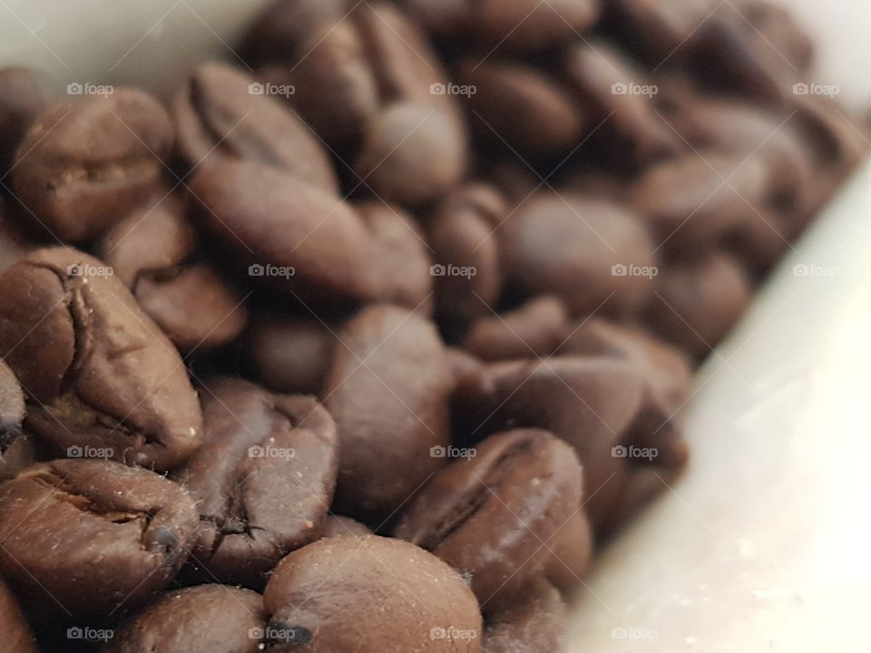 coffee beans