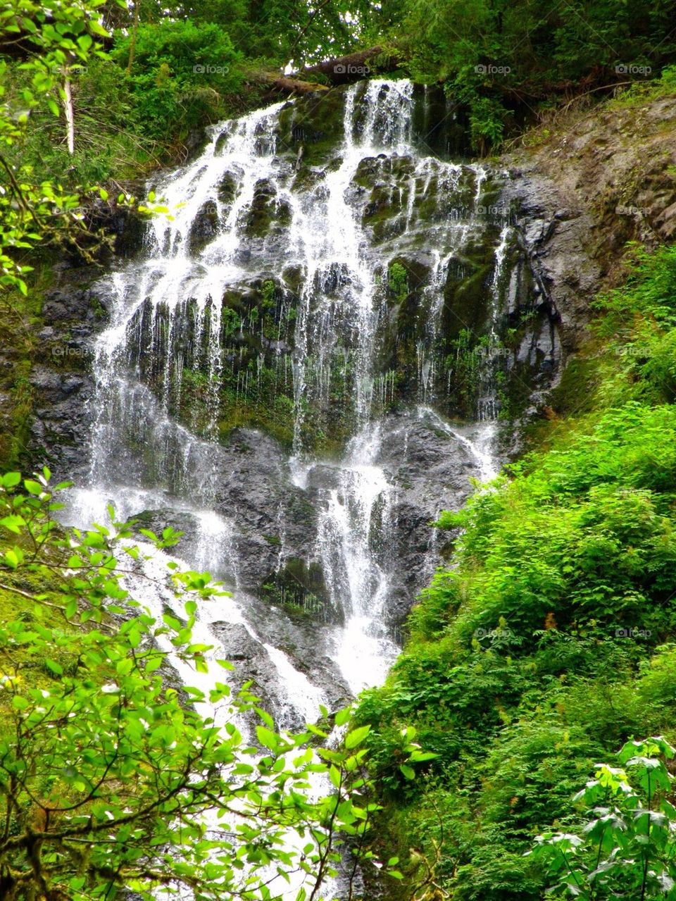 Coast Range waterfall 