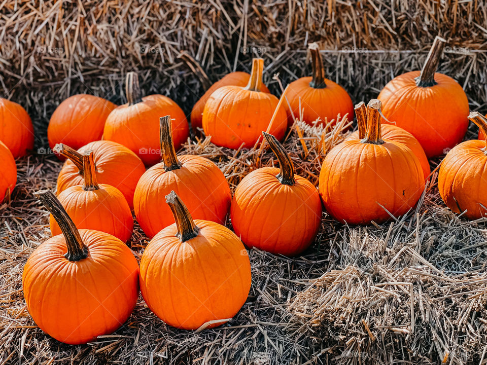 Pumpkins