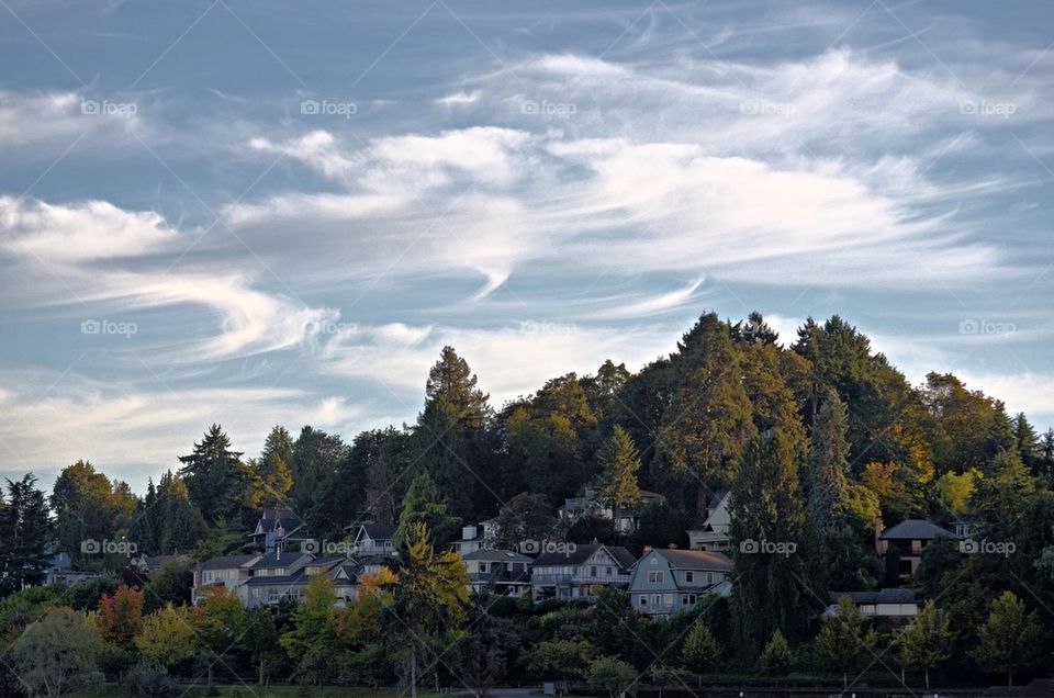 Silky Clouds