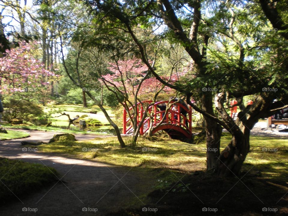 japanese garden