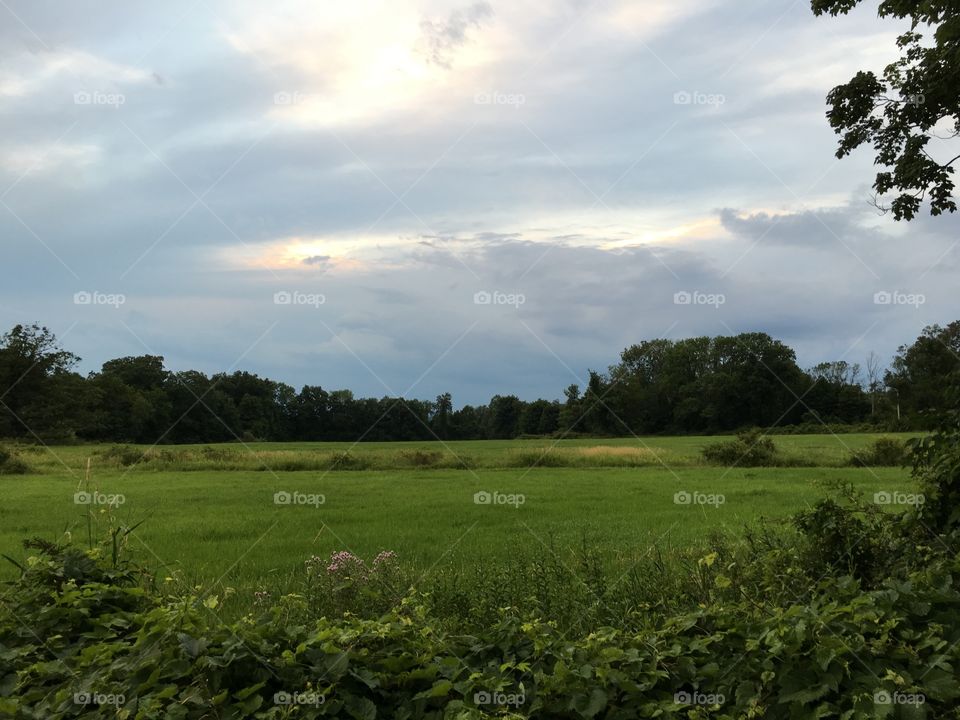 Sky over meadow 