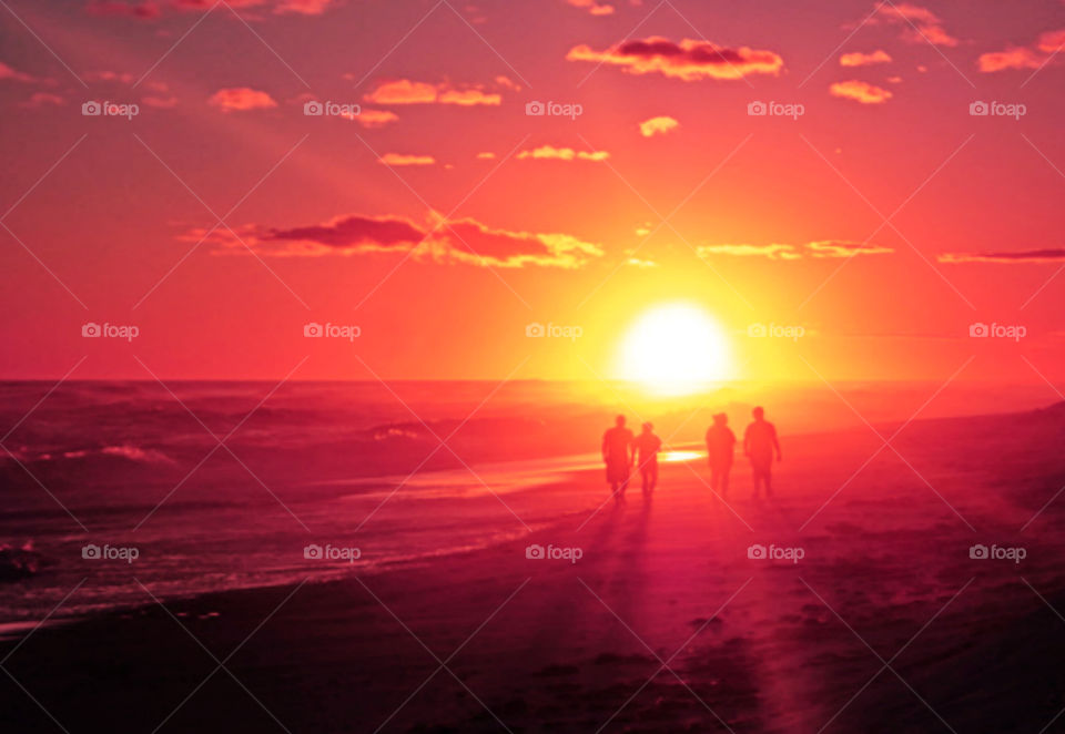 Captivating Illuminating Sunrays!
It is a dazzle with splendor and a soul-swelling experience to capture brilliant sunrays! Between the gaps in the forests canopy and the tall grasses, lances of molten gold beams splash through the atmosphere and onto the earth!