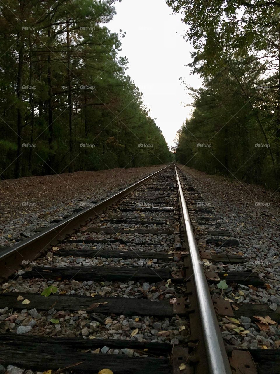Railroad tracks at dusk