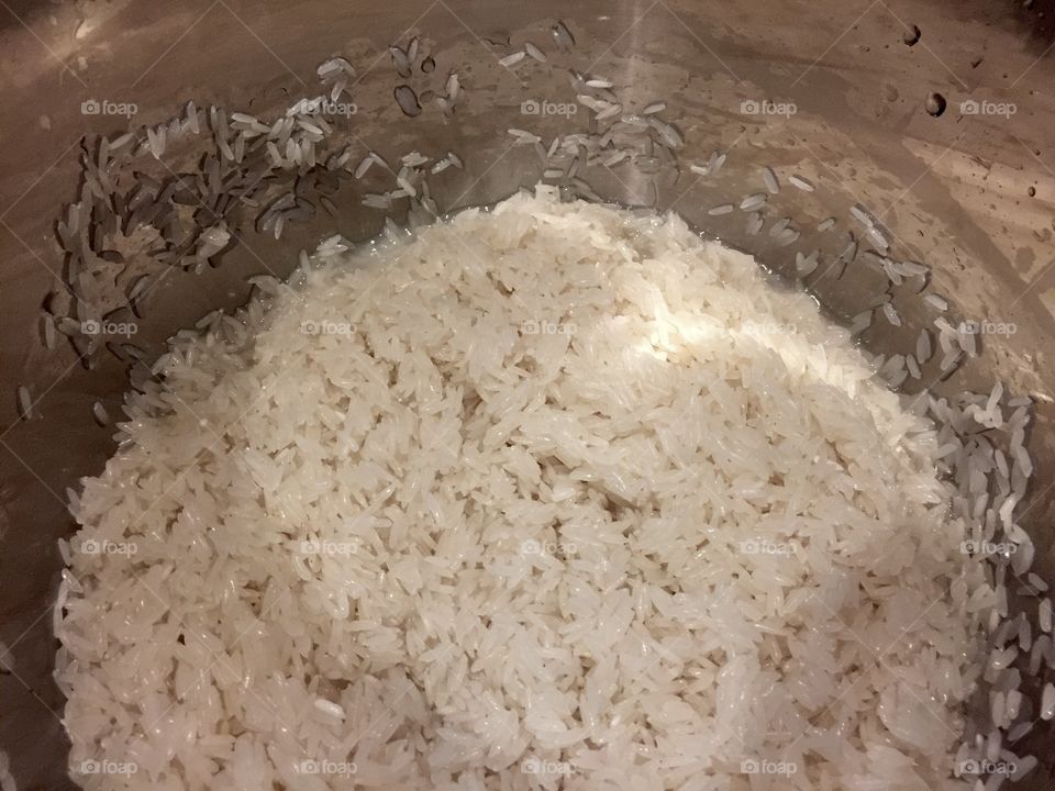 Rice 