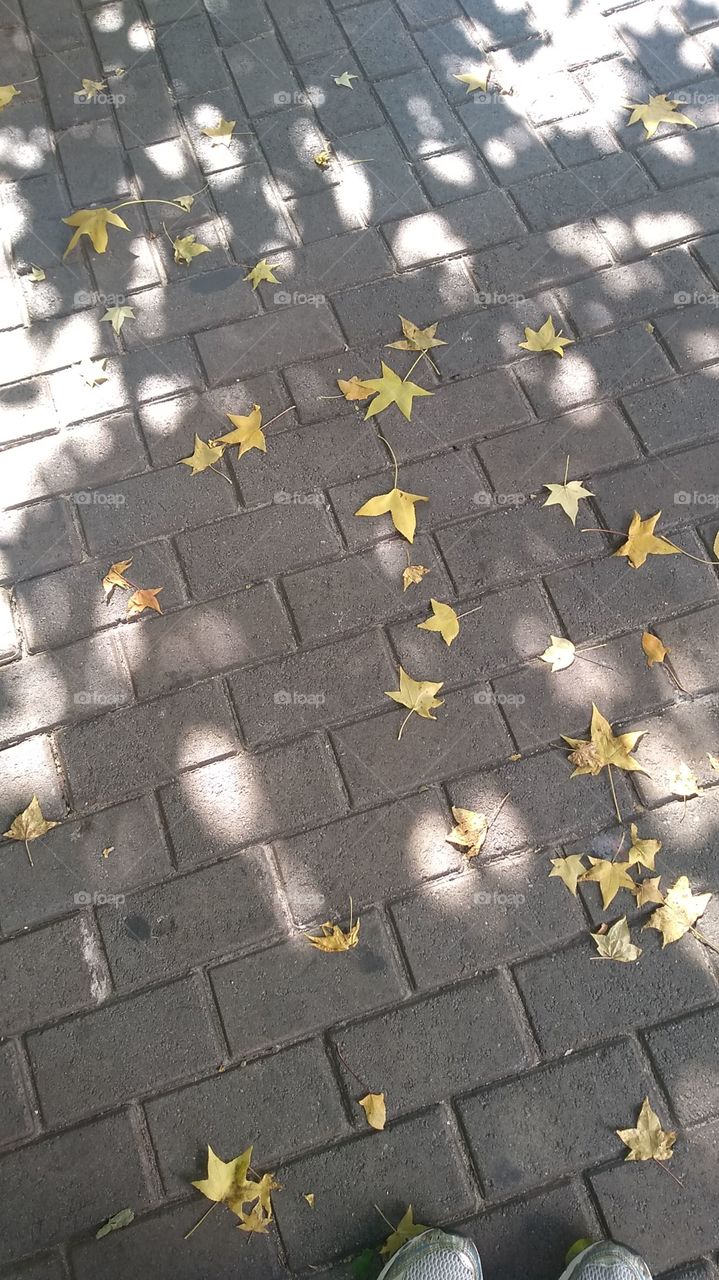 City Campos de Jordão