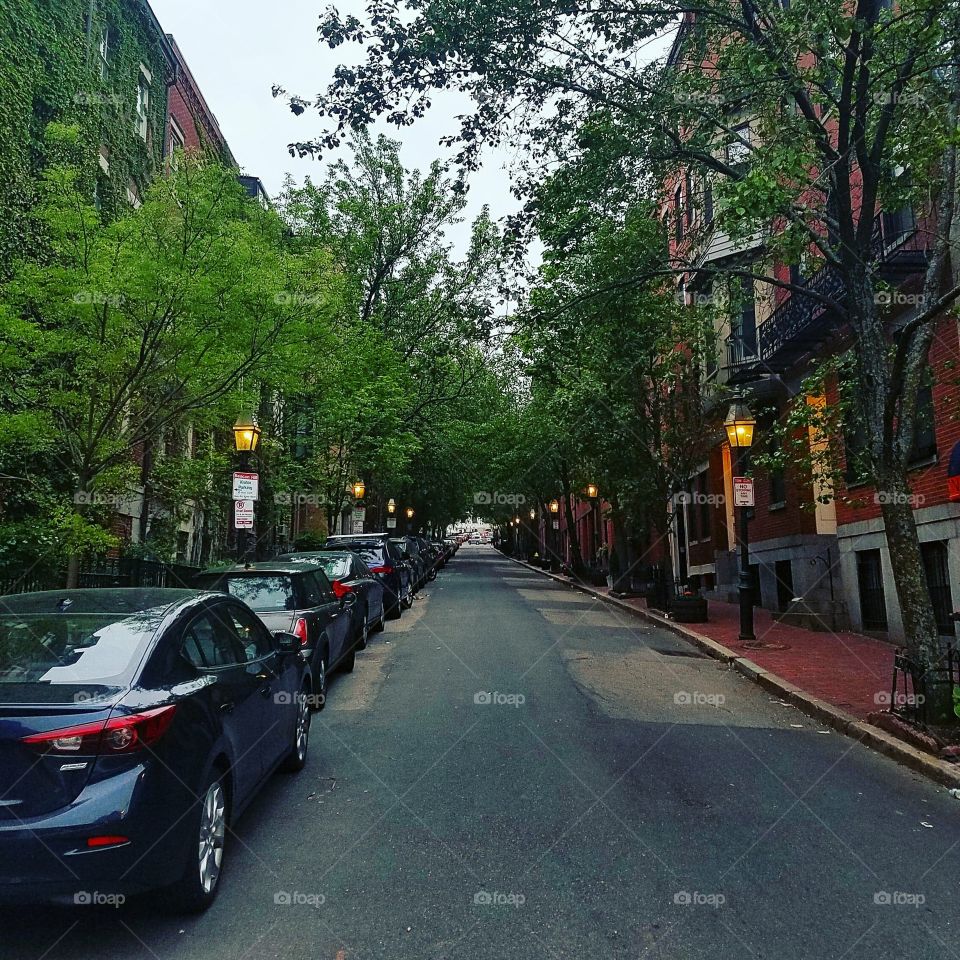 Boston City Streets
