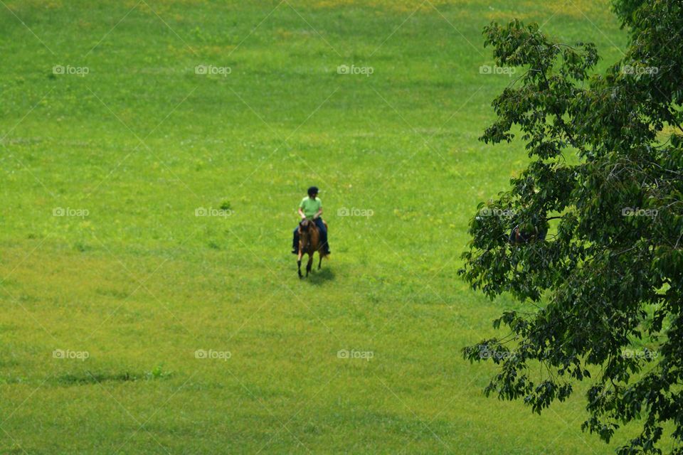 Enjoying a Sunday Ride
