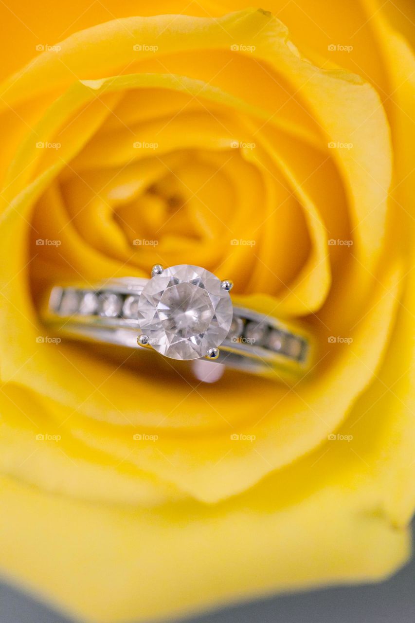 Ring on yellow rose 