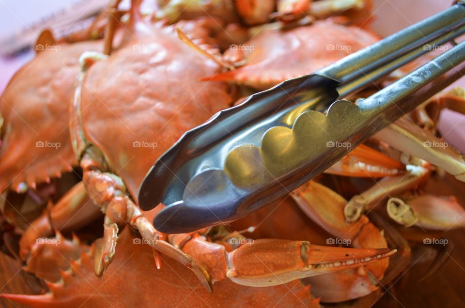 Cooked Blue Crabs