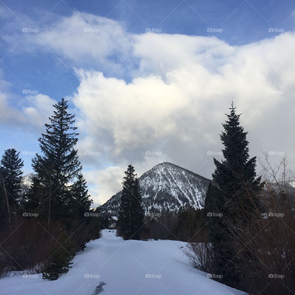 I'm looking forward to running higher up  tomorrow. 