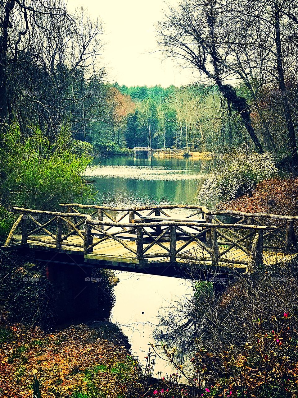 Wooden bridge over serene lake on summer hike