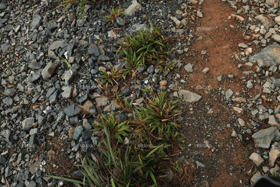 Texture of stones, earth and grass in the mountains