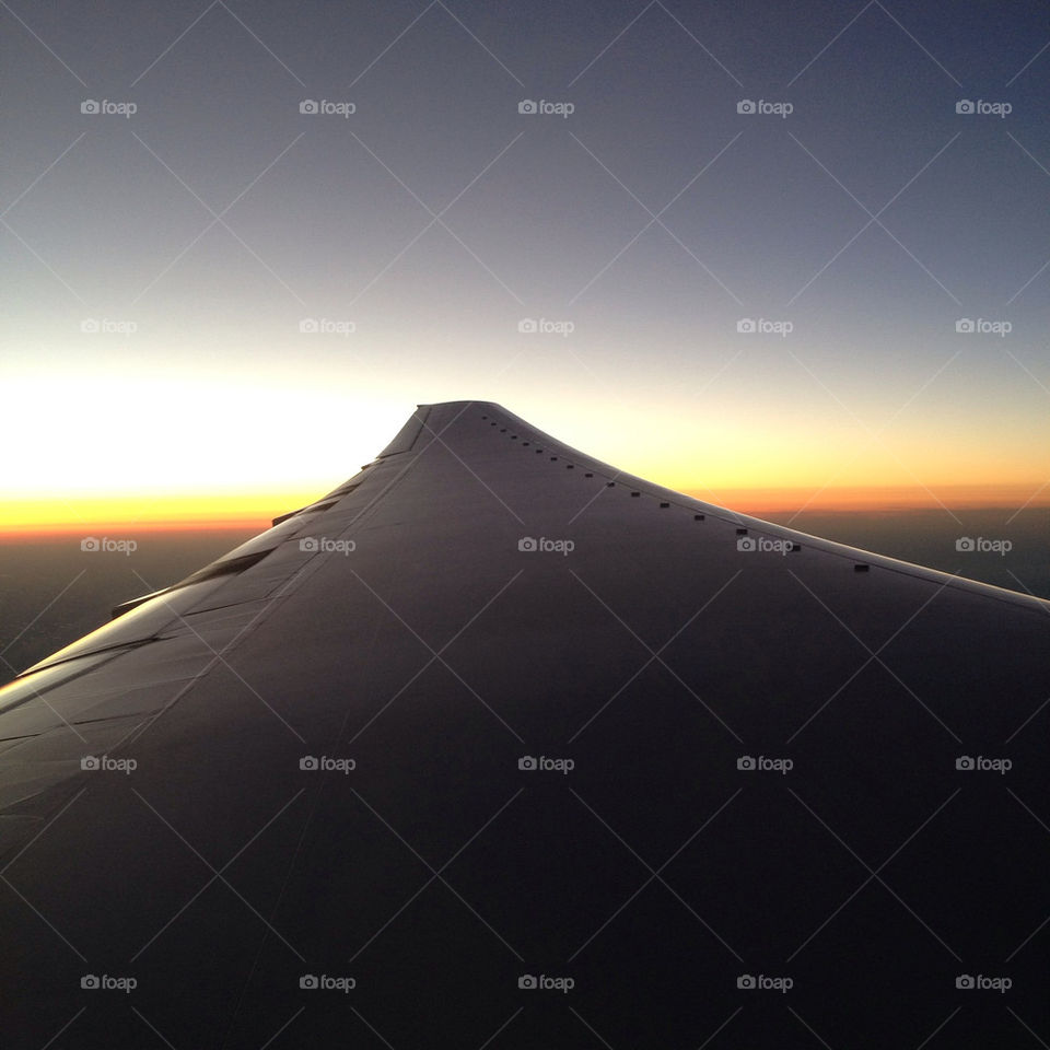 sunset wing flying plane by breenster