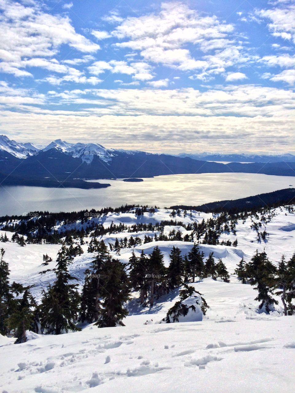 Backside Douglas island 