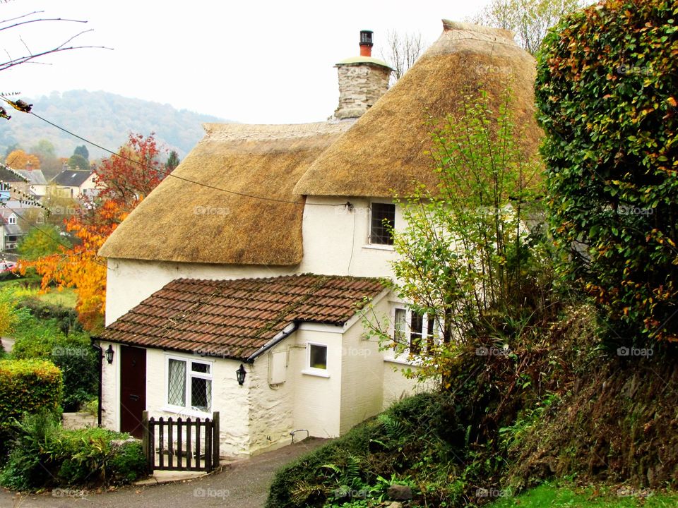 cosy cottage