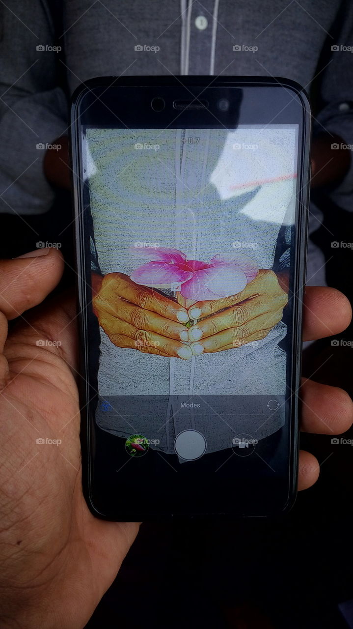 the most beautiful blooming flower picture take photo in my mobile