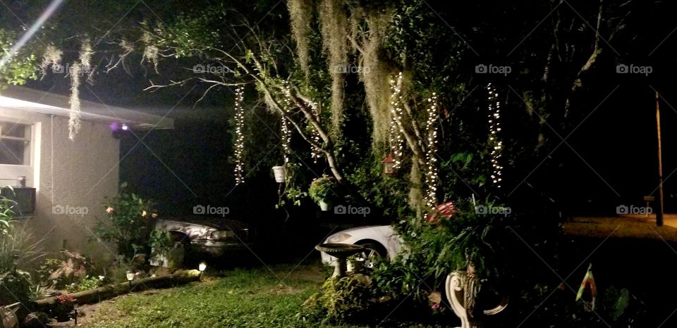 Enchanting  summer lights