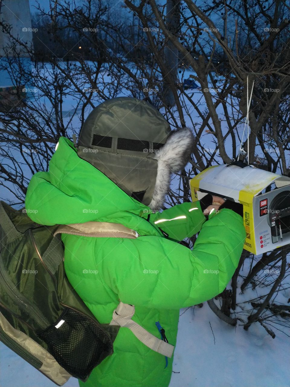 Корм для птиц.