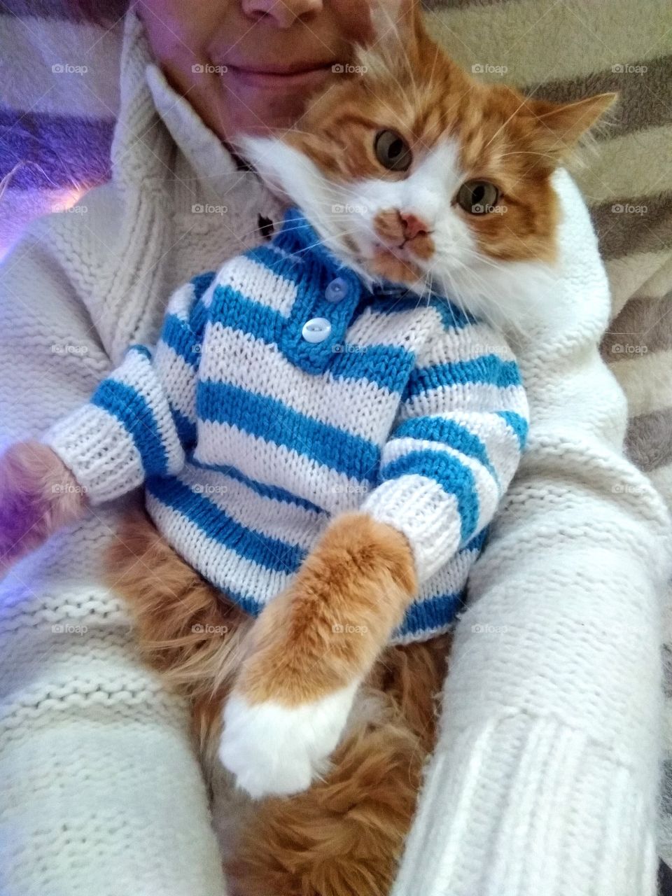 selfie girl with cat pet in the sweater