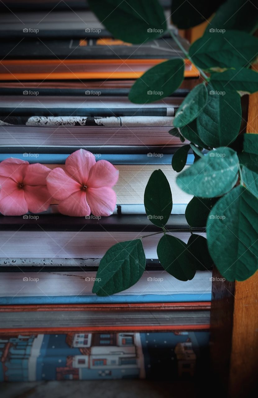 flower and books