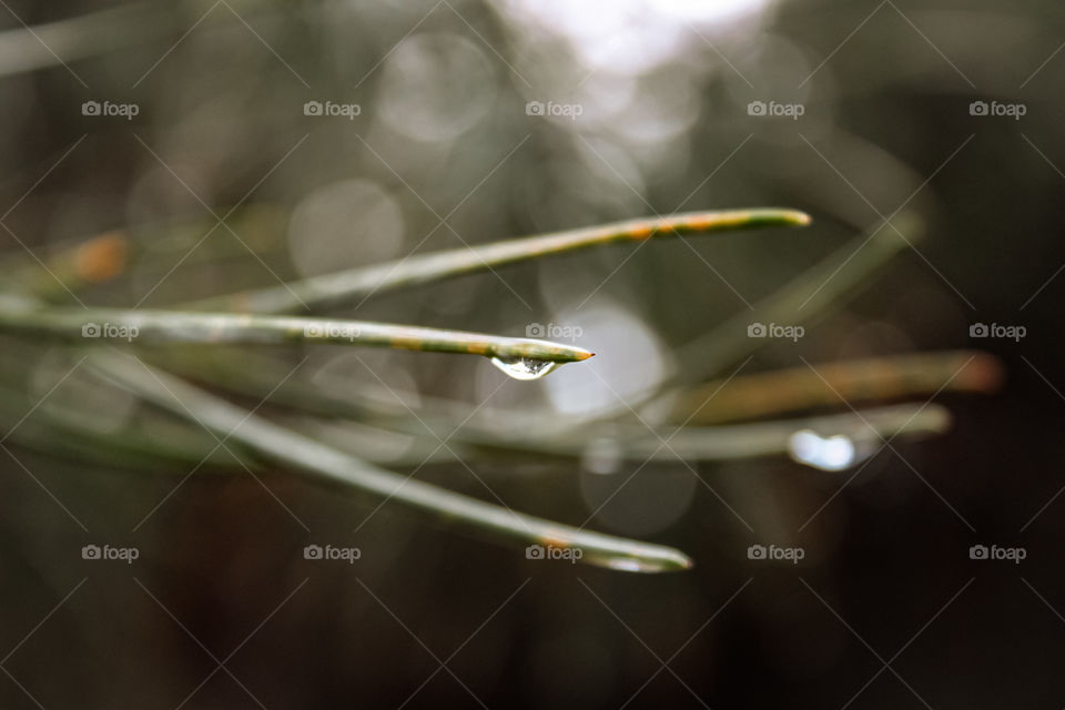 water drop