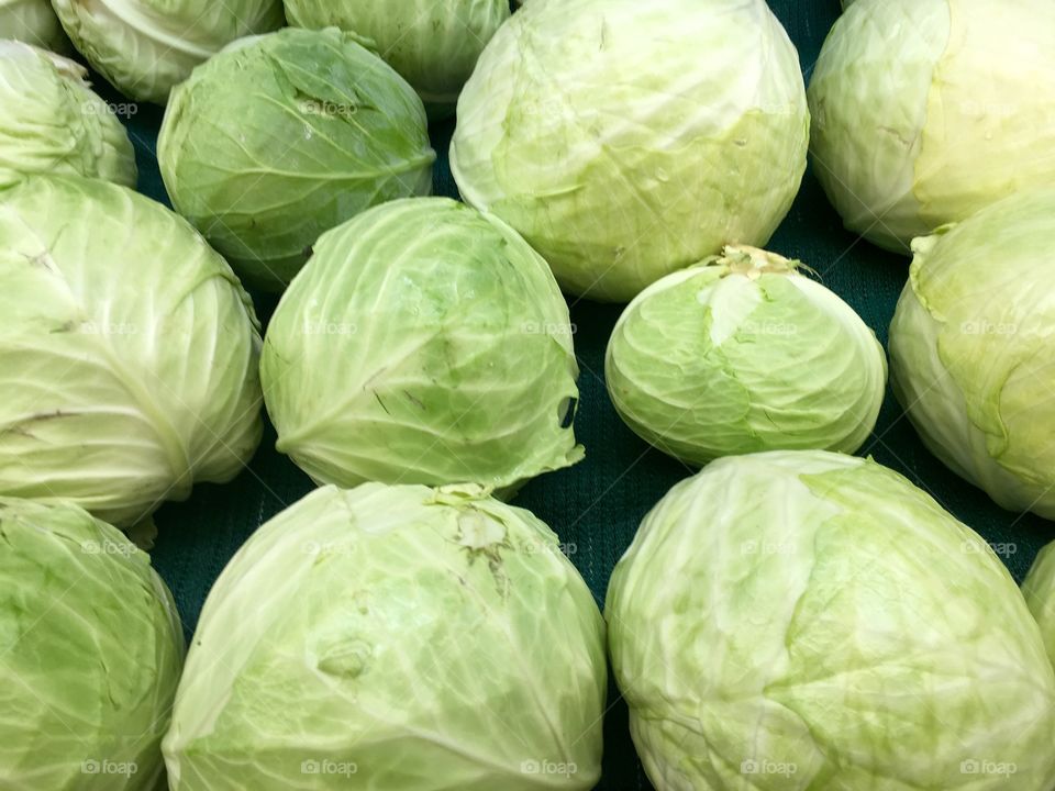 Cabbage