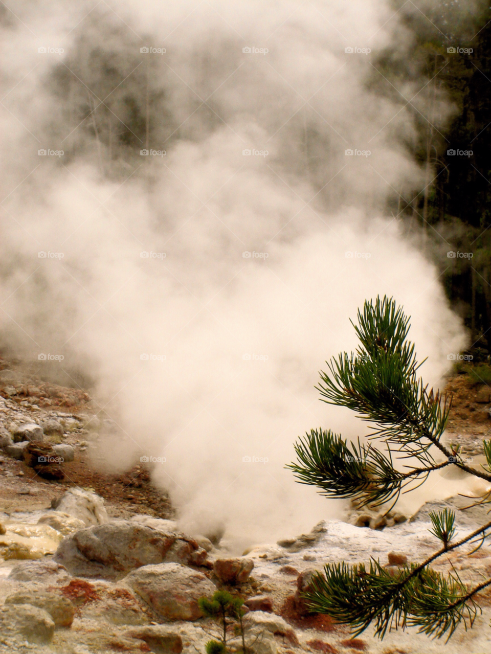 park yellowstone by refocusphoto