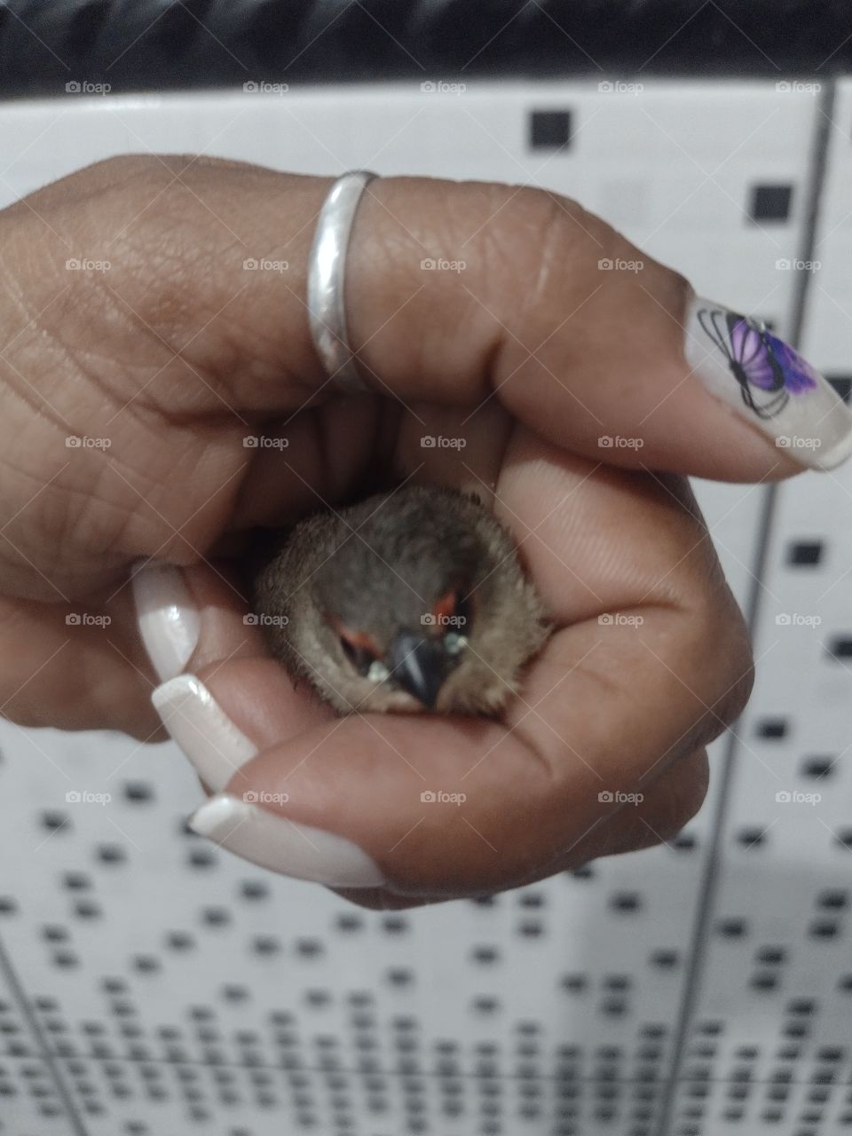 toda vida tem valor  diante dos olhos de Deus 🙏