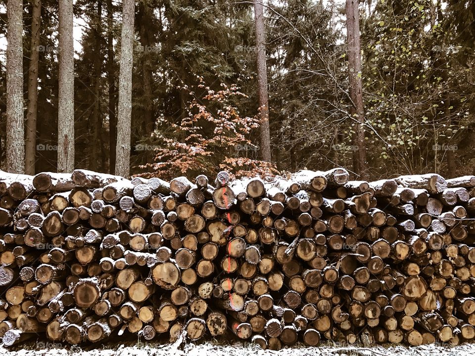 Stacked of firewood in winter