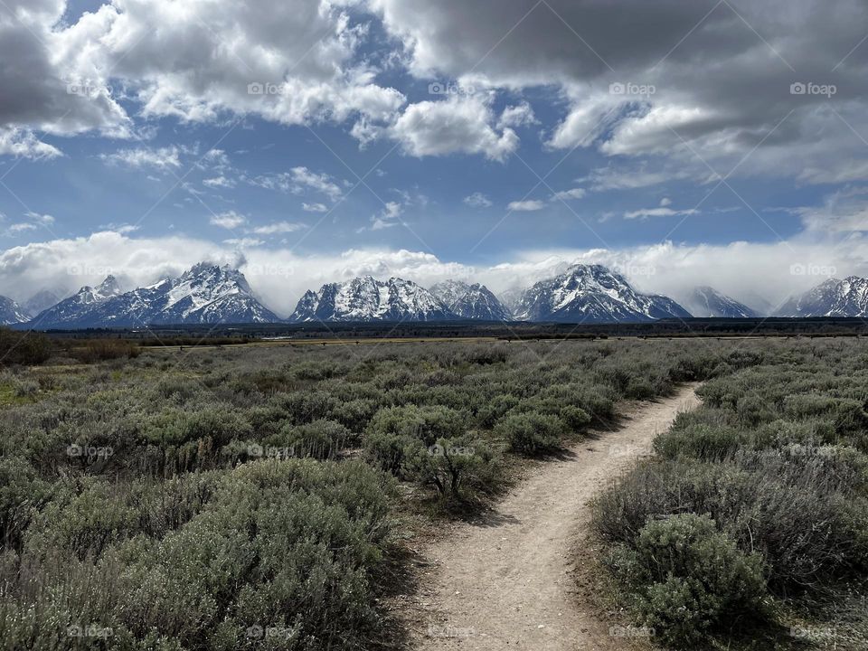 Grand Teton national park. 