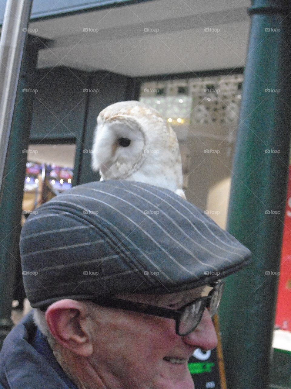 this very kind guy let me take a picture of him with is pet owl