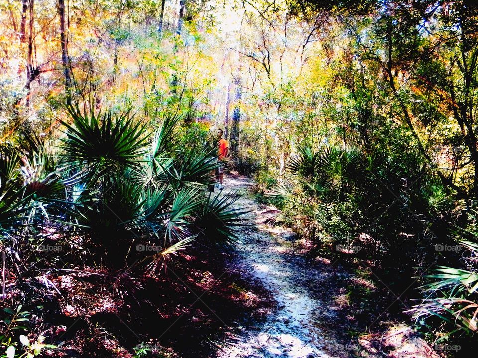 A person exploring a near by forest