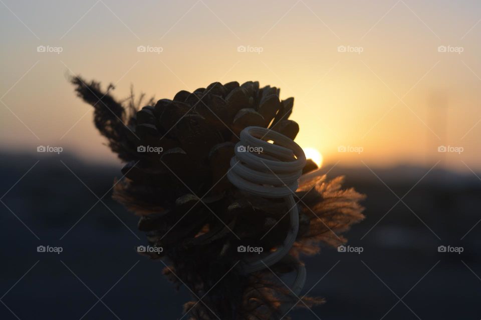 Sunsets are a magical sight