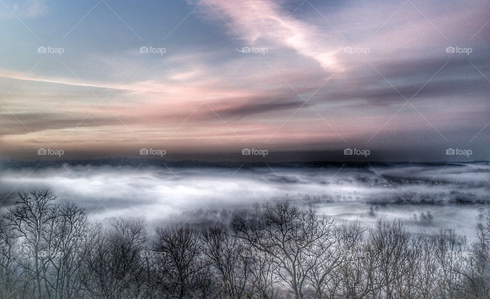 Scenic view of misty landscape