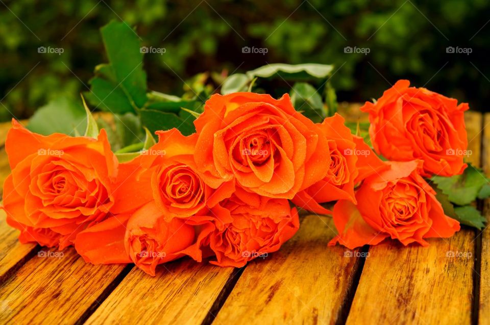 Orange roses on a table