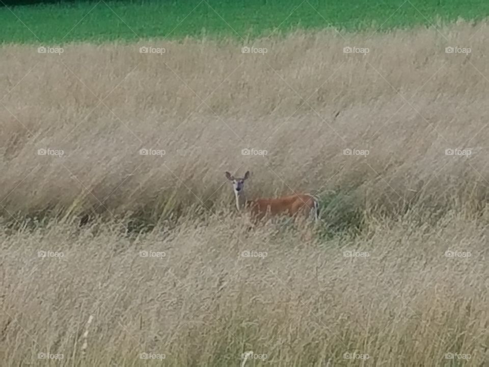 Driving the Back Roads and enjoying everything around us