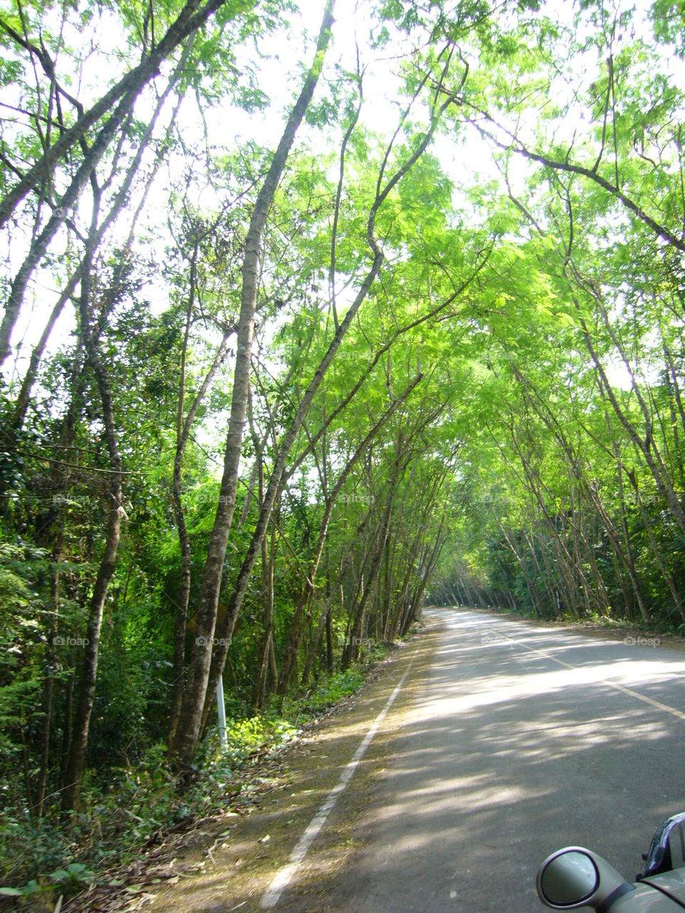 Green Road