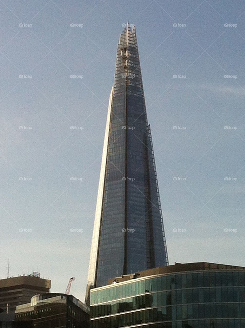 The shard