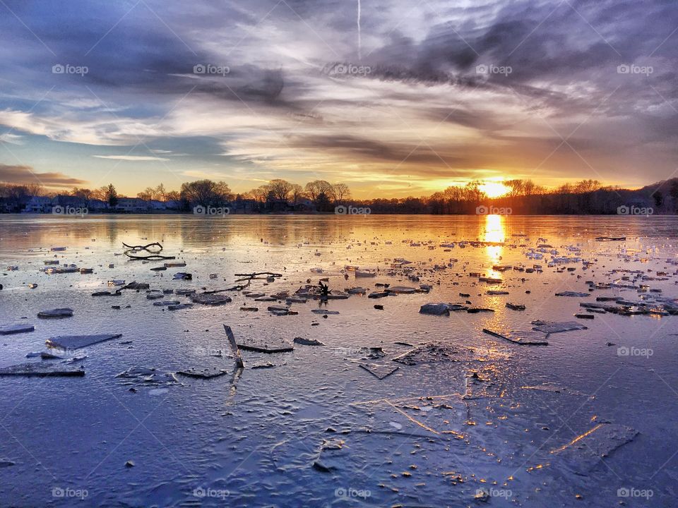 Spy Pond winterscape